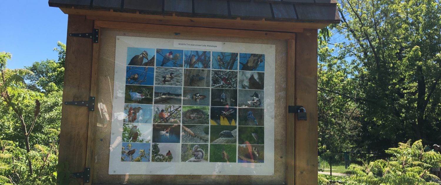 The Community Bulletin Board at Lake Wabukayne