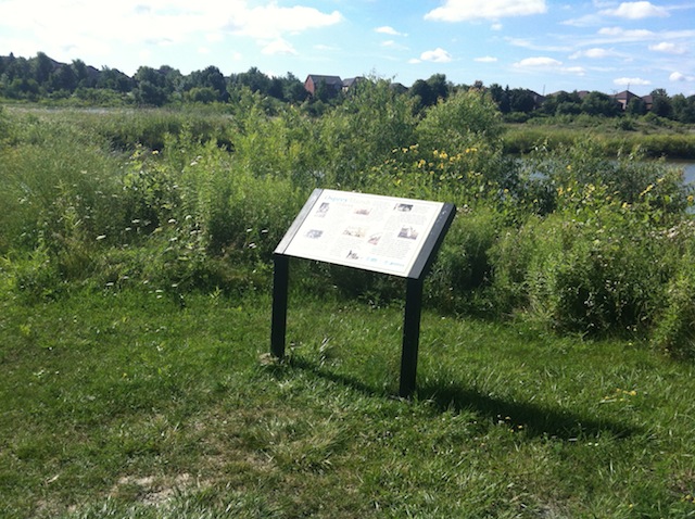 A number of Interpretive signs can be found around Osprey Marsh