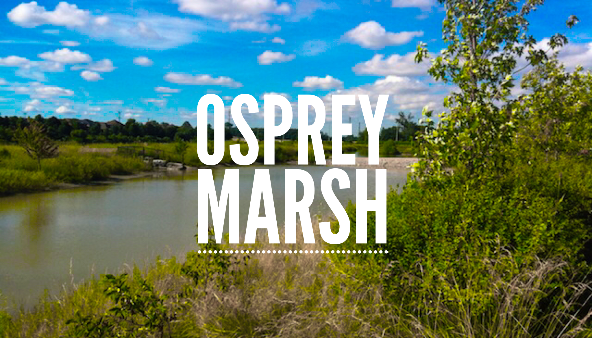 Osprey Marsh | Lisgar | Mississauga | The Village Guru