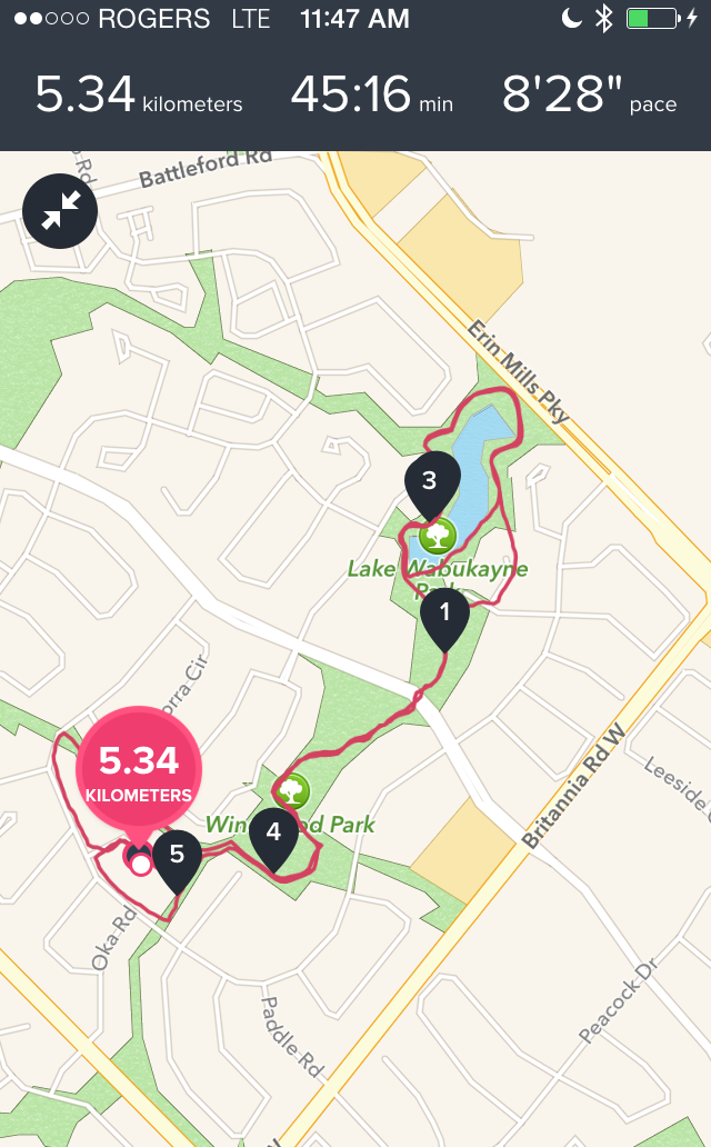 I love the app's ability to track your cardio workout. Here is a run/walk I did the other day.