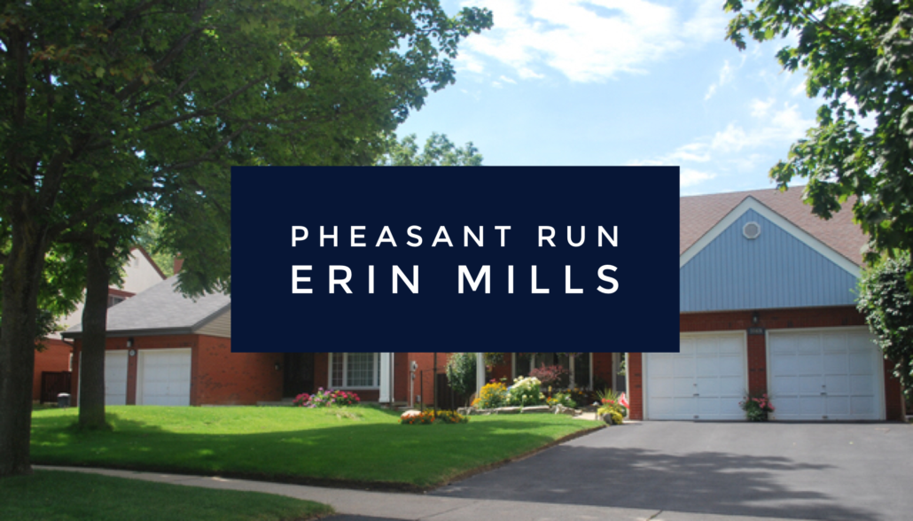 Pheasant Run • The Village Guru