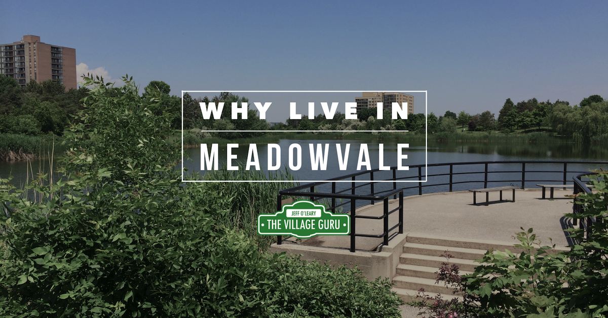Why You Should Live in Meadowvale • The Village Guru